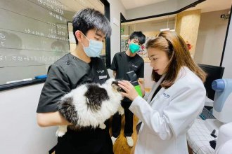 Lenry Veterinary Eye Hospital Shanghai